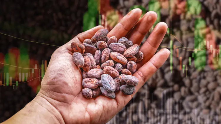 What Factors Are Driving the Unprecedented Surge in Cocoa Prices?