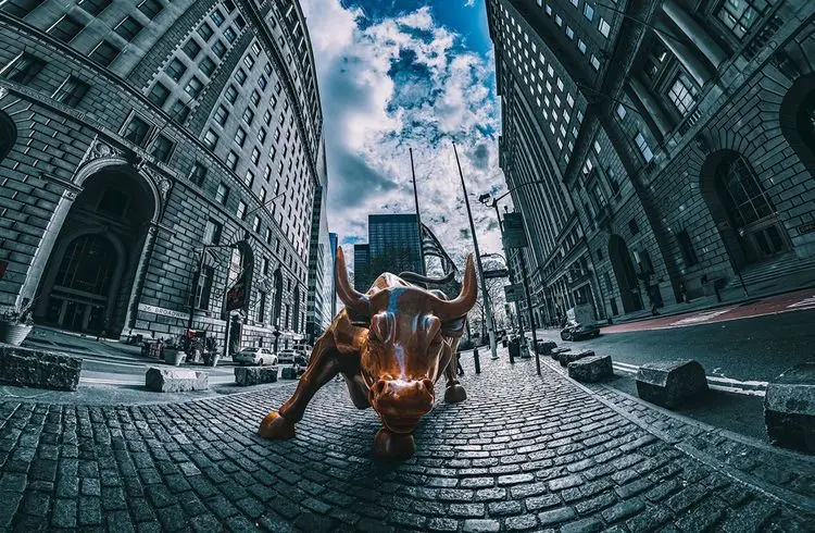 Stocks rise and dollar falls as investors assess political outlook