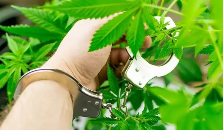 Pot Arrests in Pennsylvania still high during Pandemic