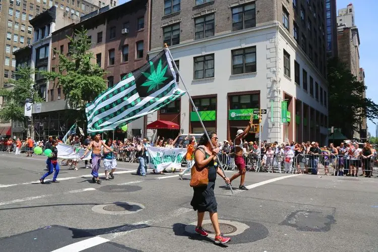 Cannabis stocks back on top