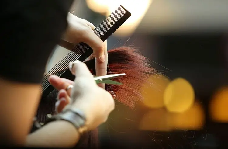 German economy faces recession: service sector weakens