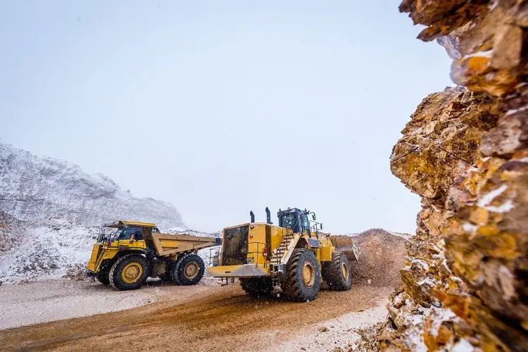 New Found Gold is the new hope for Gold Investors