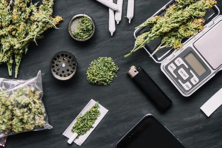 Scientists develop rapid tests for marijuana use