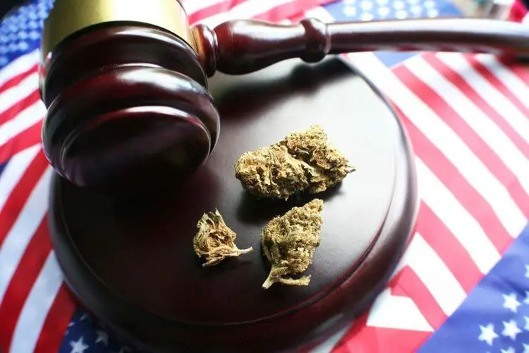 Mississippi allows for Cannabis opposition to sue