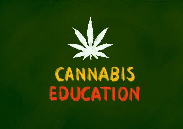 West Virginia cannabis education center opens