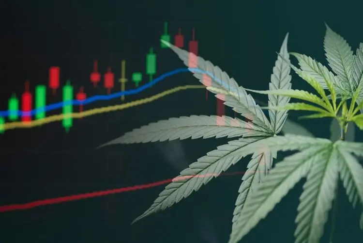 Canopy Growth stocks are falling