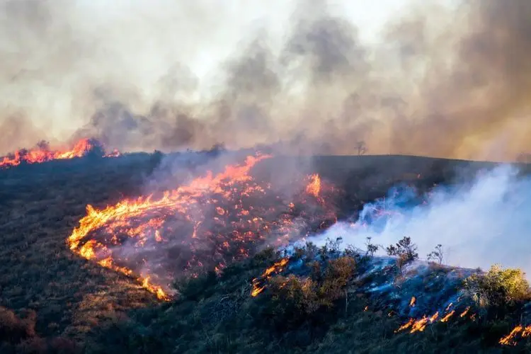 Lawn mower causes large California wildfire