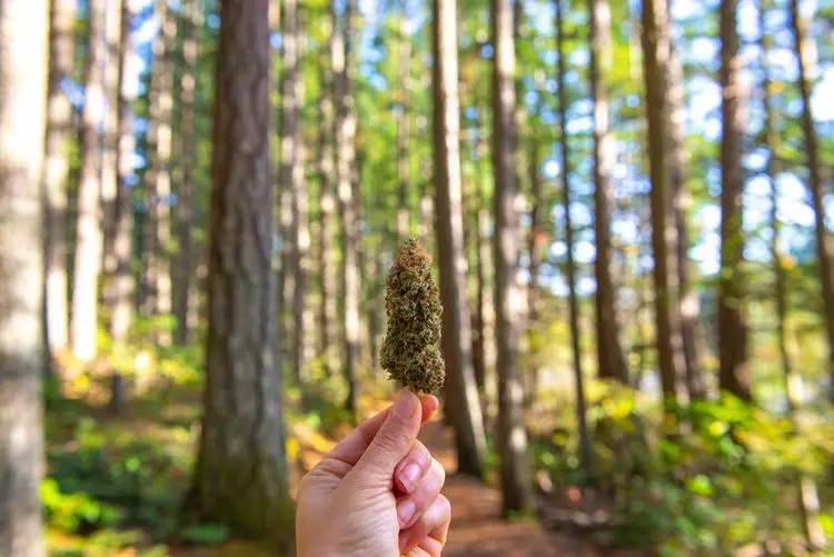 Vancouver aims to reduce cannabis retail fees