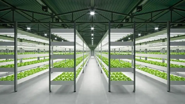 GrowGeneration wants to take over operators of hydroponics