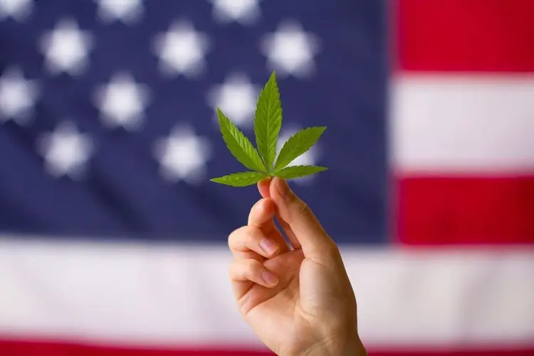 Medical cannabis program in General Assembly