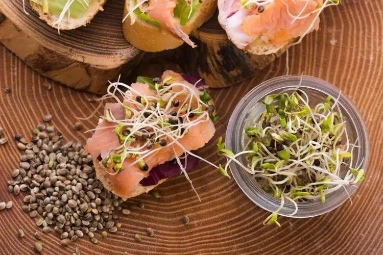 You can now buy cannabis-salmon in Canada