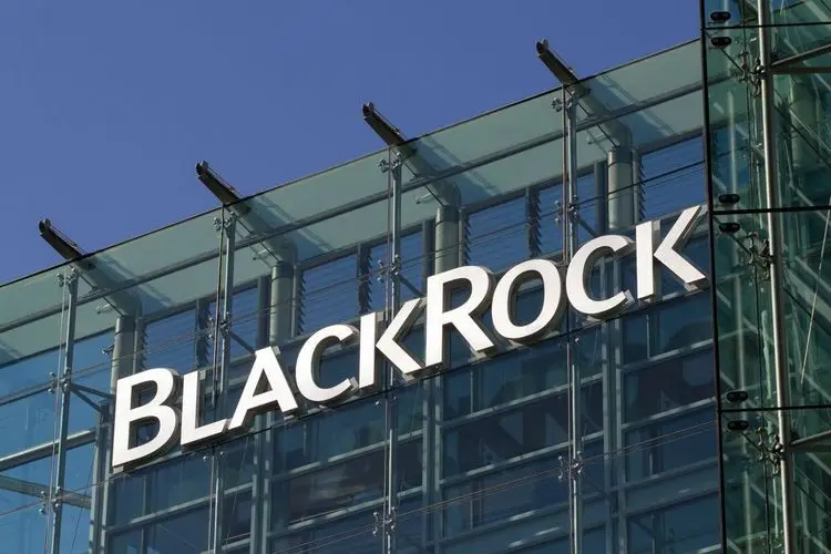 Former Blackrock executive sheds doubt on sustainable investments