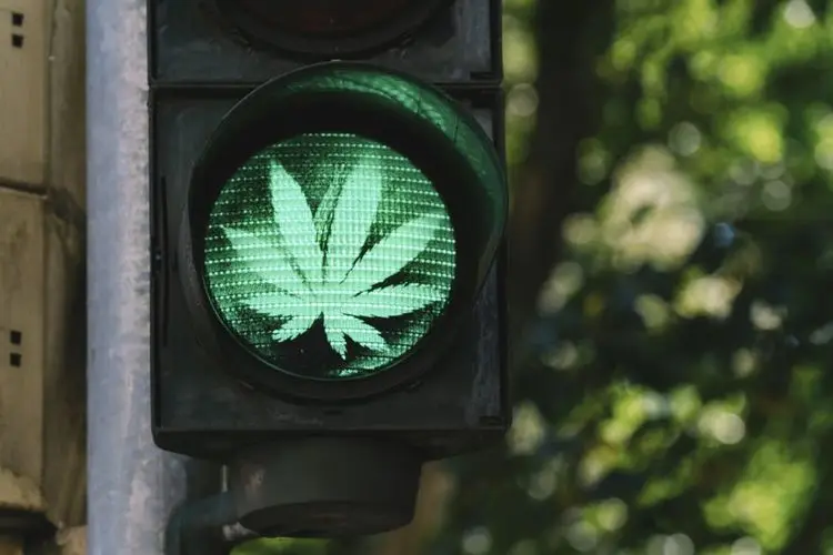 "Best cannabis in the world"