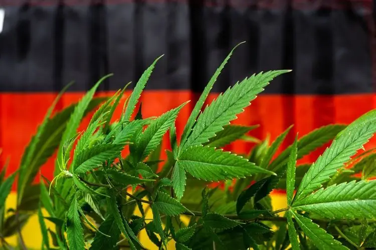 Cannabis Rx at the forefront of cannabis distribution in Germany