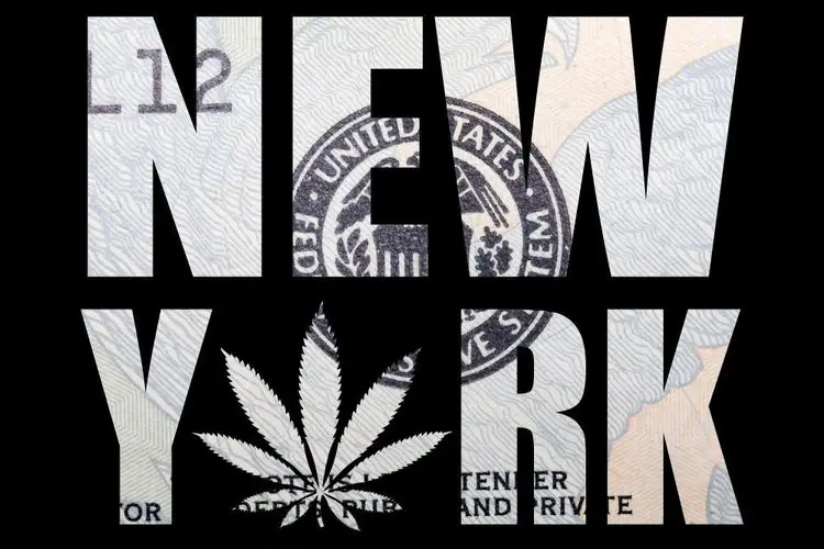 New York Governor Forms Board of Office of Cannabis Management