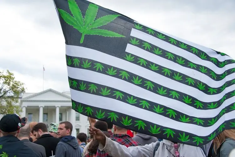 Investors are avoiding cannabis