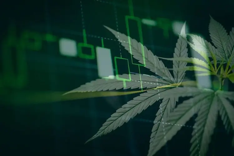 Ross Gerber: Cannabis "a great opportunity" for investors