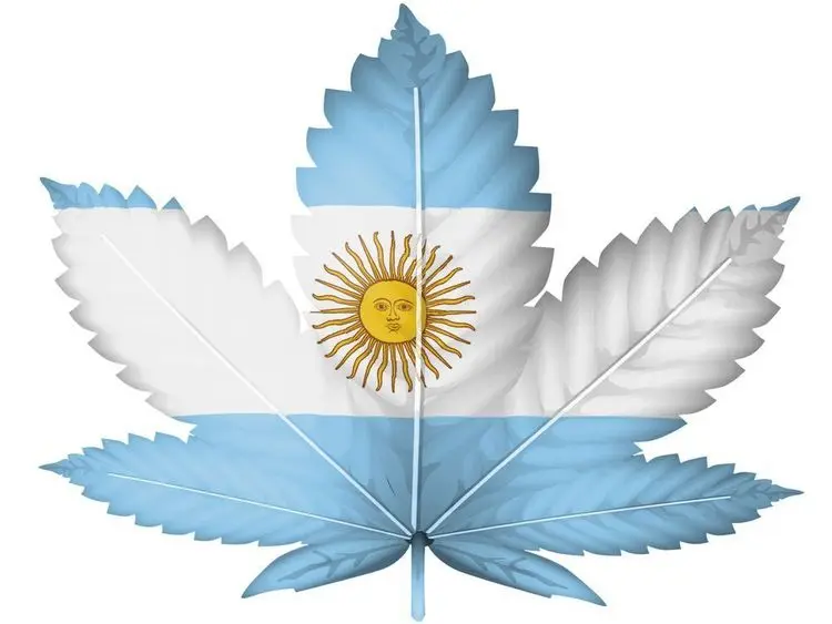 Argentinians are now allowed to grow Cannabis at home