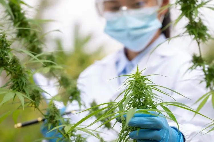 Decriminalization reduces racial disparities