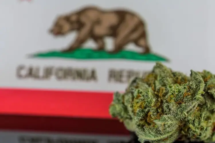 The California Cannabis Equity Alliance demands stronger Social Equity focus