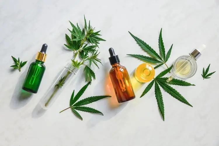 Slovakia is the Last European State that Legalizes CBD in Europe