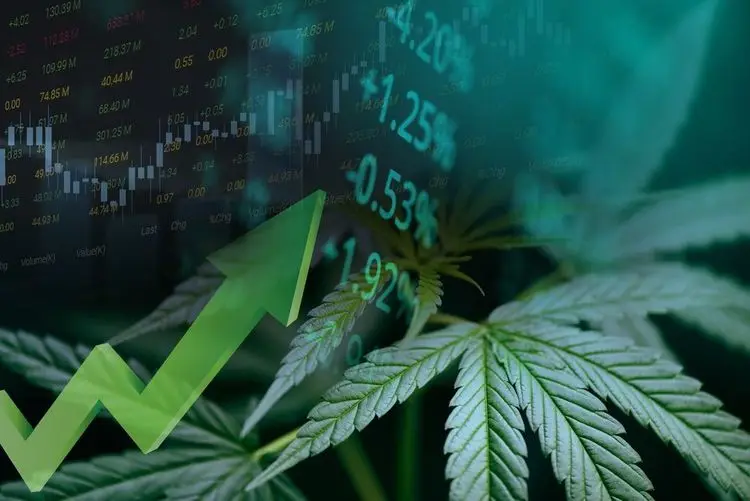 Two hot marijuana stocks to watch out for right now