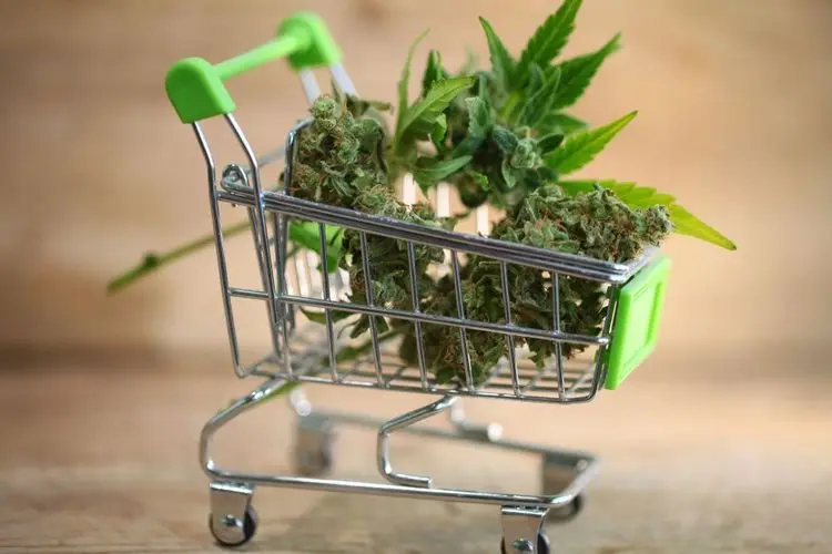Halloween: Spending more on cannabis than candy