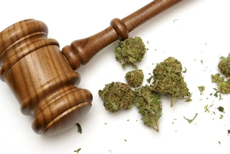 Oregon is decriminalizing cannabis-related crimes