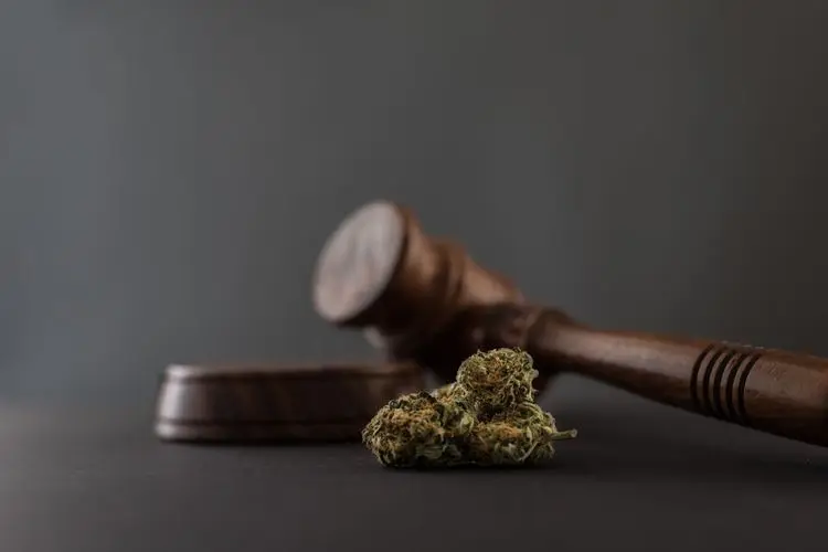 Start of cannabis business tax postponed