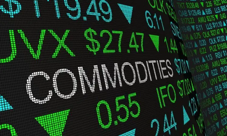 Best year for commodities since 2009