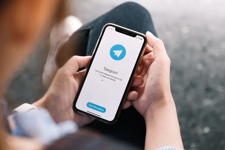 Telegram and Signal strongly expand their user base