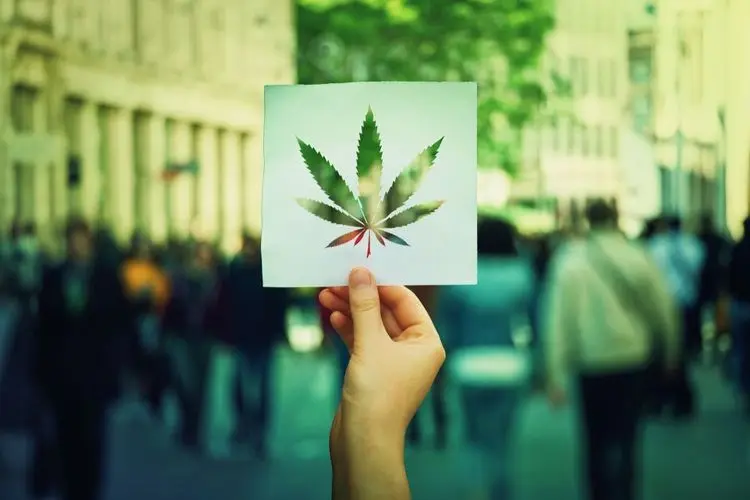 Democrats in Iowa to start legalization reforms