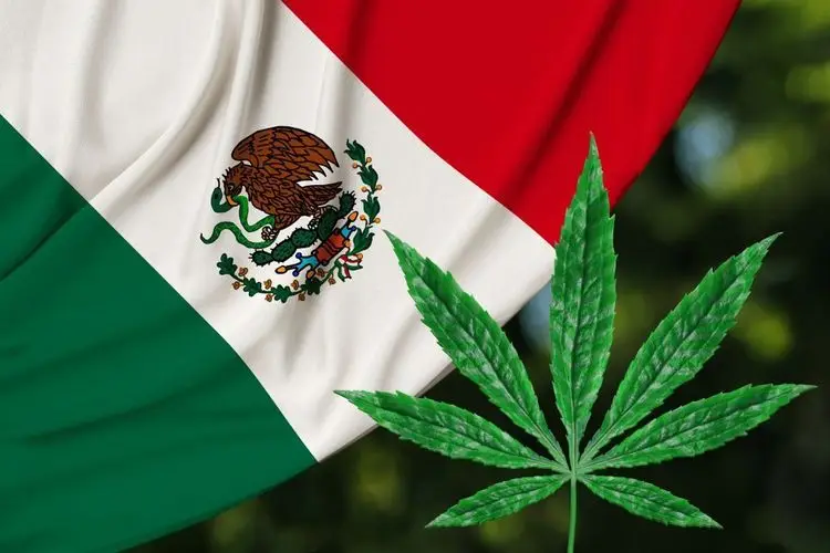 Mexican legalisation delay apparently political tactics